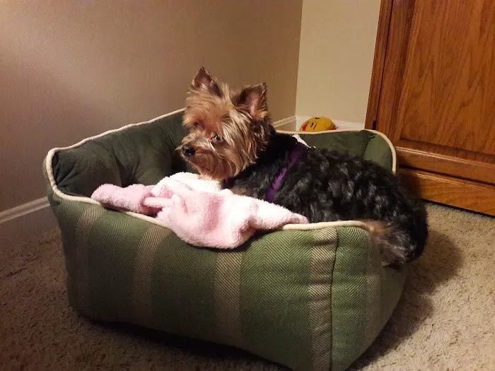 Especially Pets Picture 9