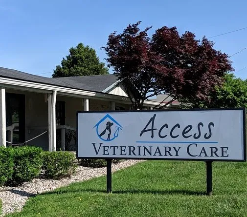Access Veterinary Care Picture 3