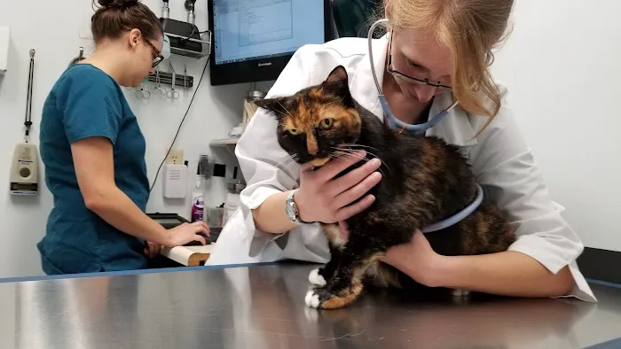 Access Veterinary Care Picture 2