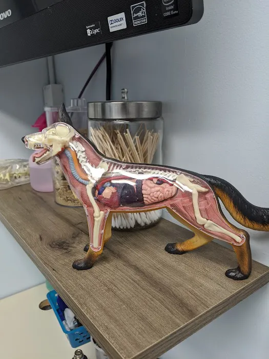 Access Veterinary Care Picture 5