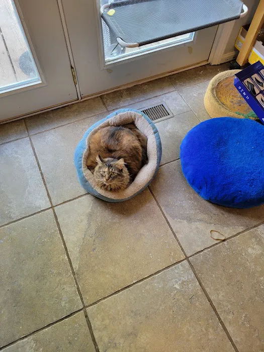 Access Veterinary Care Picture 9