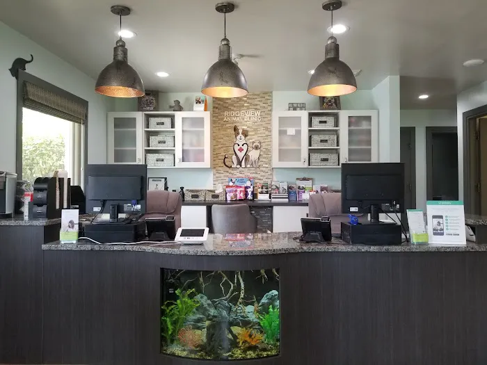 Ridgeview Animal Clinic Picture 2