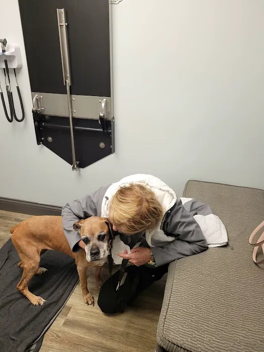 Ridgeview Animal Clinic Picture 7