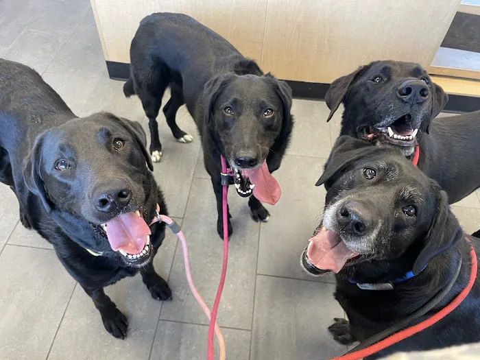 Banfield Pet Hospital Picture 1
