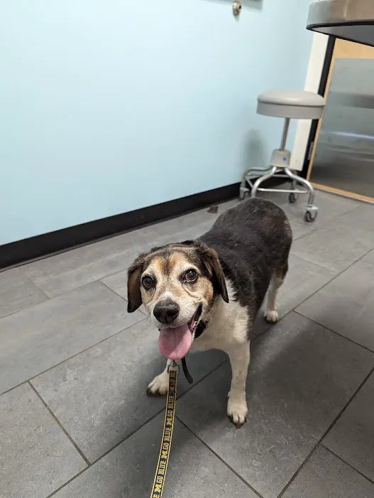 Banfield Pet Hospital Picture 6