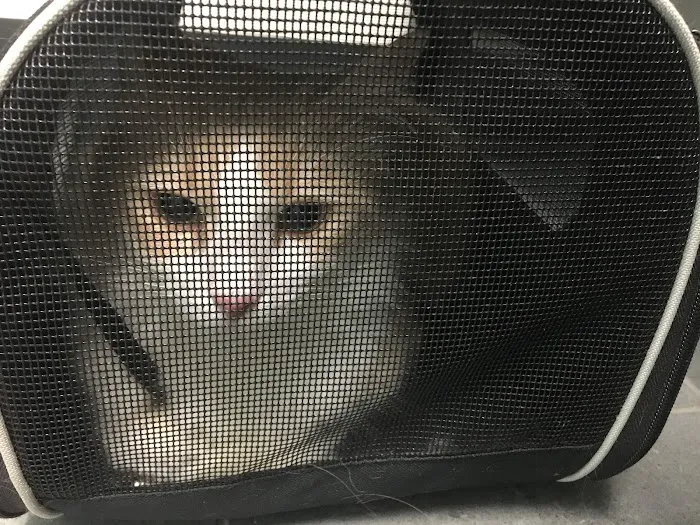 Banfield Pet Hospital Picture 5