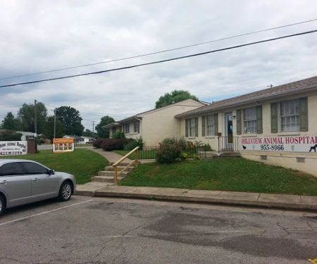 Hillview Animal Hospital & Clinic
