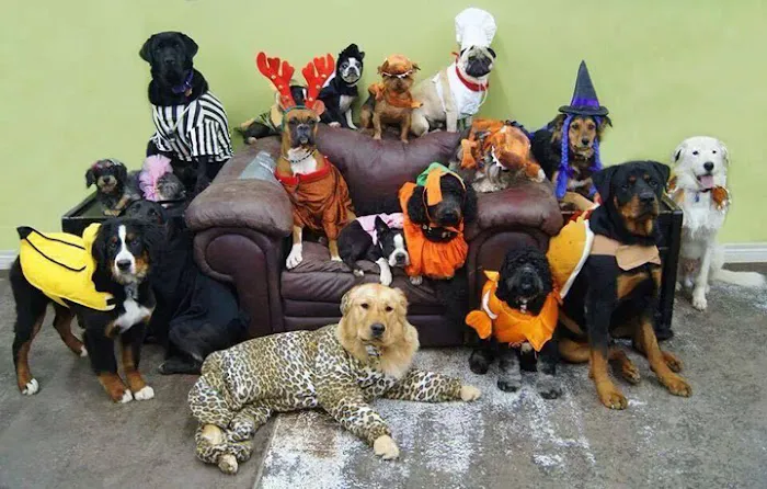 Hillview Animal Hospital & Clinic Picture 8