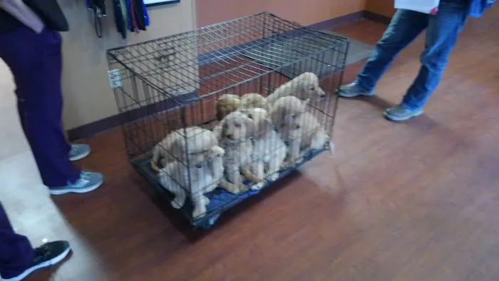 Animal Clinic of Paulding Picture 9