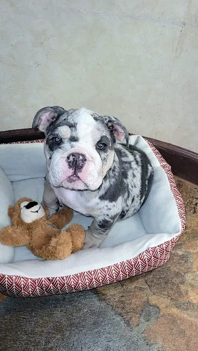 Celina Animal Hospital Picture 1