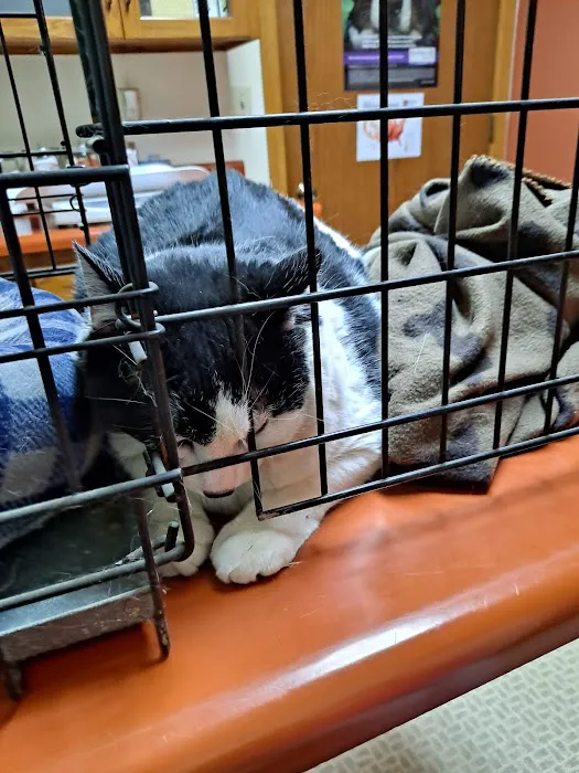 Celina Animal Hospital Picture 6