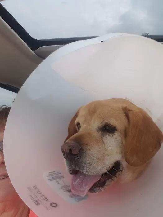 Celina Animal Hospital Picture 7