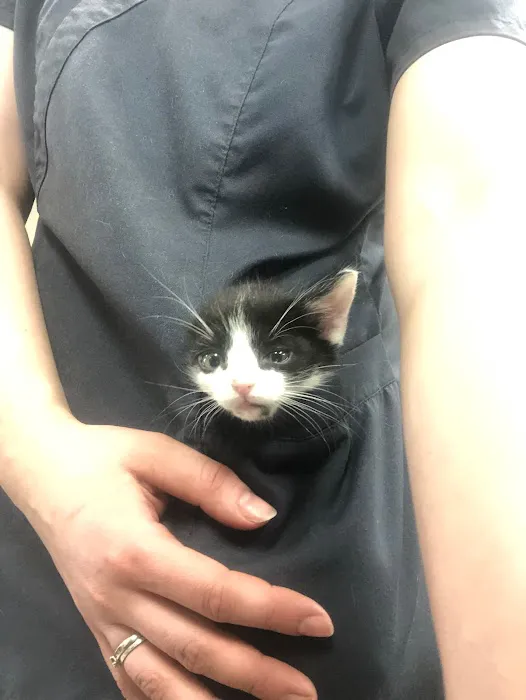 Chickasaw Veterinary Center Picture 4