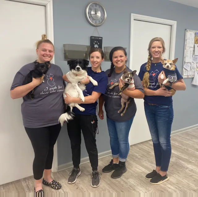 Cedar Lake Animal Hospital Picture 3