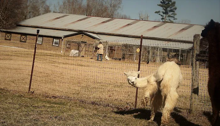 Freehaven Farm Limited Picture 3