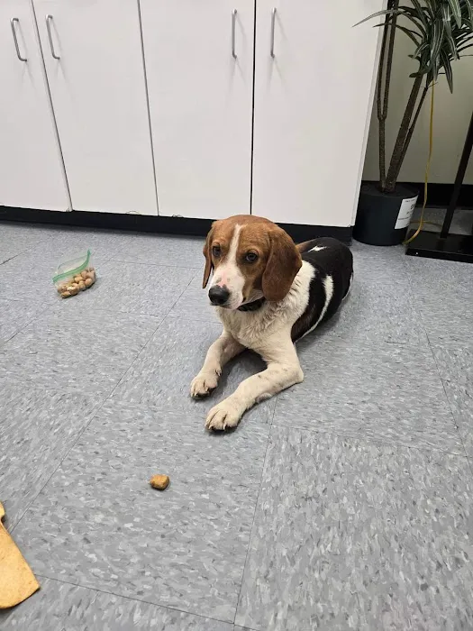Spears Creek Veterinary Clinic Picture 1