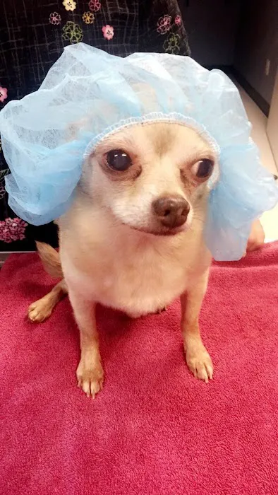 Spears Creek Veterinary Clinic Picture 3