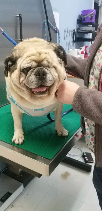 Spears Creek Veterinary Clinic Picture 7