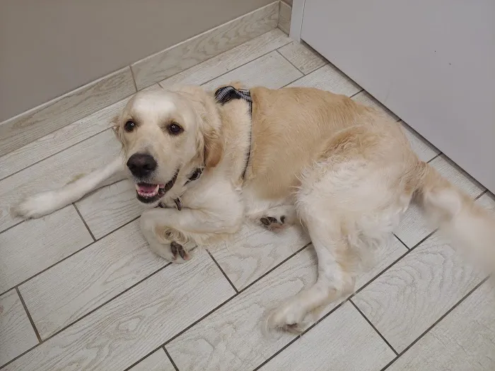 Two Notch Road Animal Clinic Picture 1