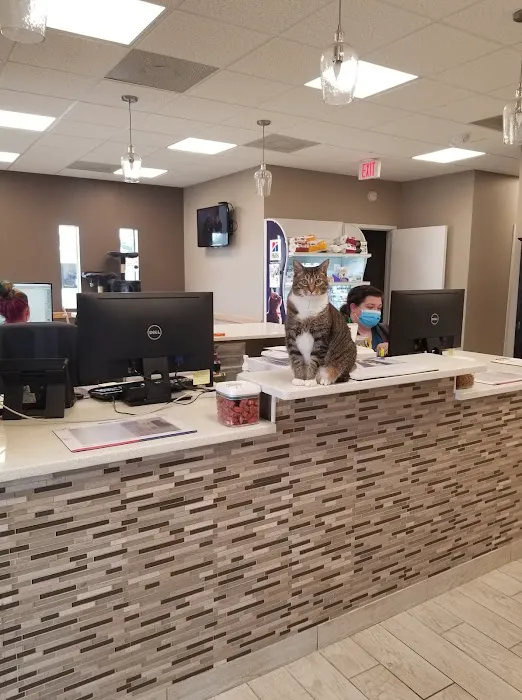 Two Notch Road Animal Clinic Picture 2