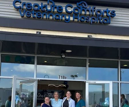 Creature Comforts Veterinary Hospital