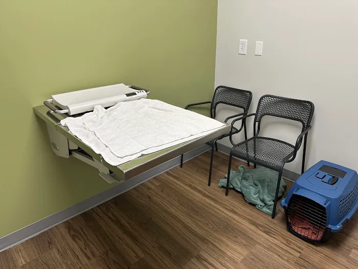 Creature Comforts Veterinary Hospital Picture 2