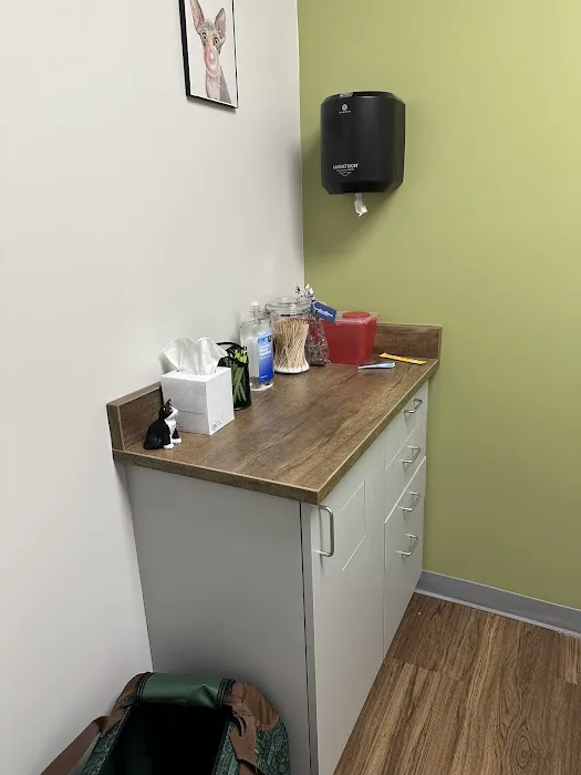 Creature Comforts Veterinary Hospital Picture 5