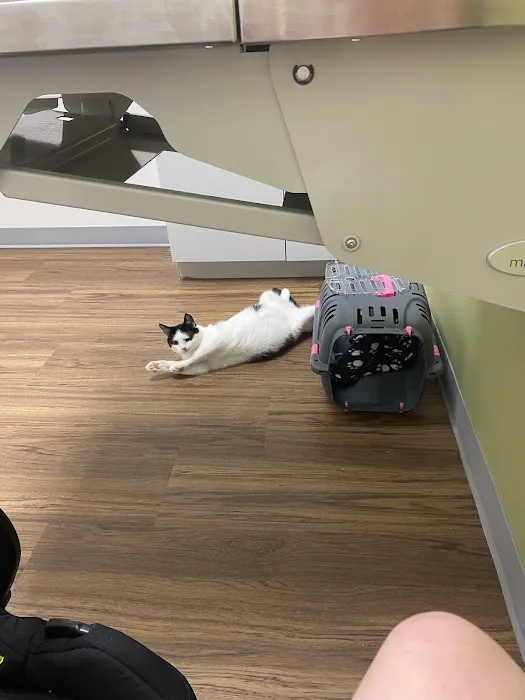 Creature Comforts Veterinary Hospital Picture 6
