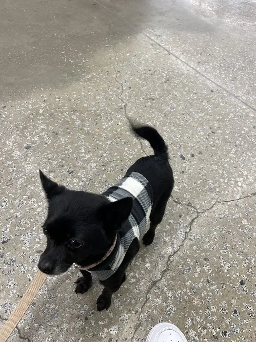 Banfield Pet Hospital Picture 4