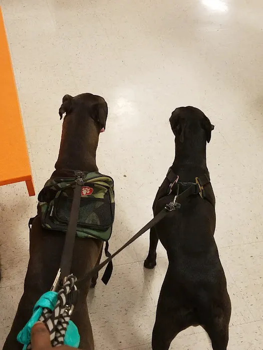 Banfield Pet Hospital Picture 6