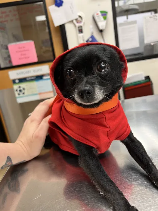 Banfield Pet Hospital Picture 5