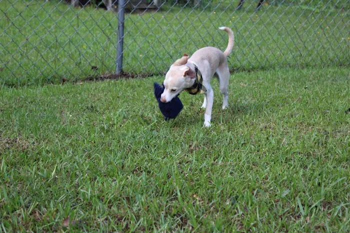 Banfield Pet Hospital Picture 10