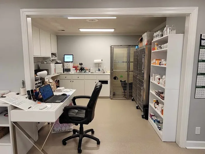 Northeast Animal Clinic Picture 2