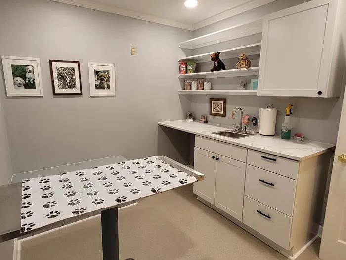 Northeast Animal Clinic Picture 8