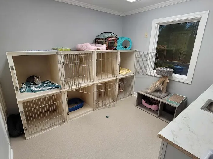 Northeast Animal Clinic Picture 9