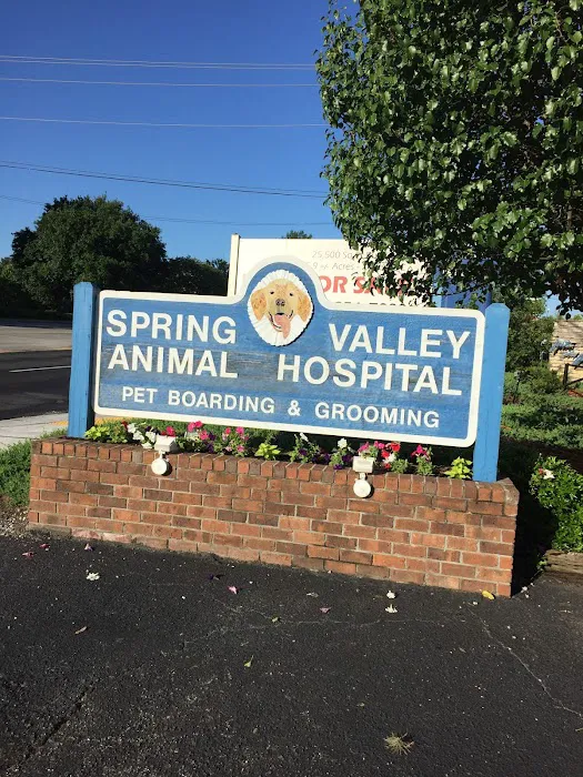 Spring Valley Animal Hospital LLC Picture 3