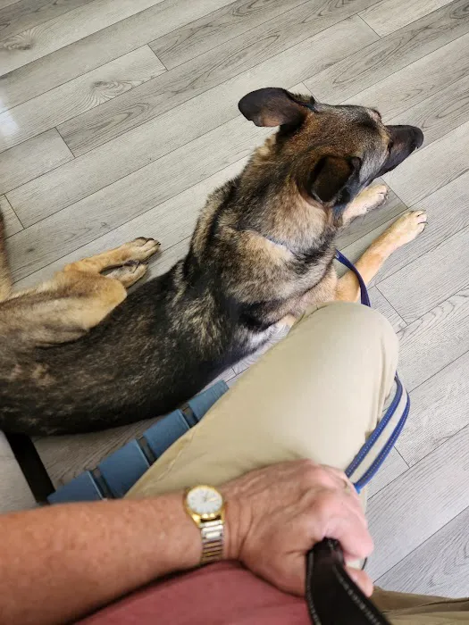 Spring Valley Animal Hospital LLC Picture 7