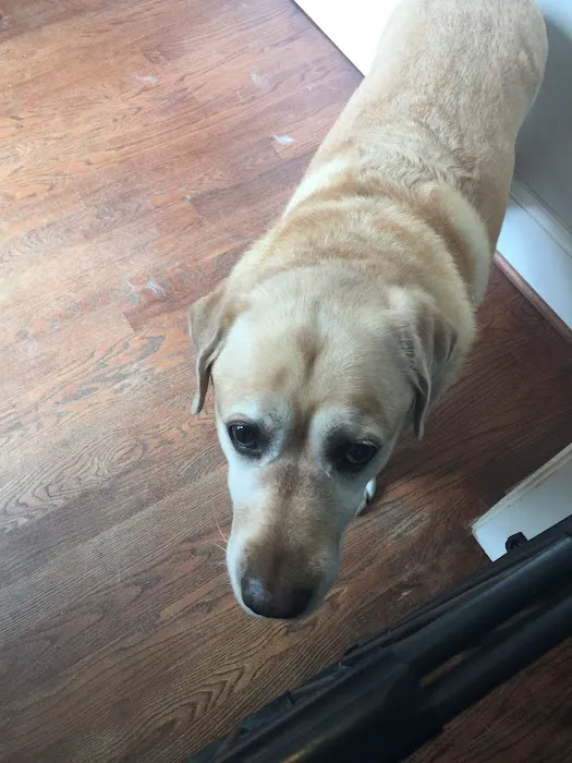 Gregg Animal Hospital Picture 2