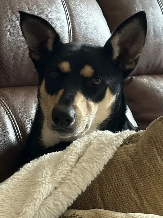 Gregg Animal Hospital Picture 7