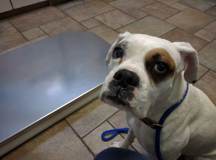 Gregg Animal Hospital Picture 9