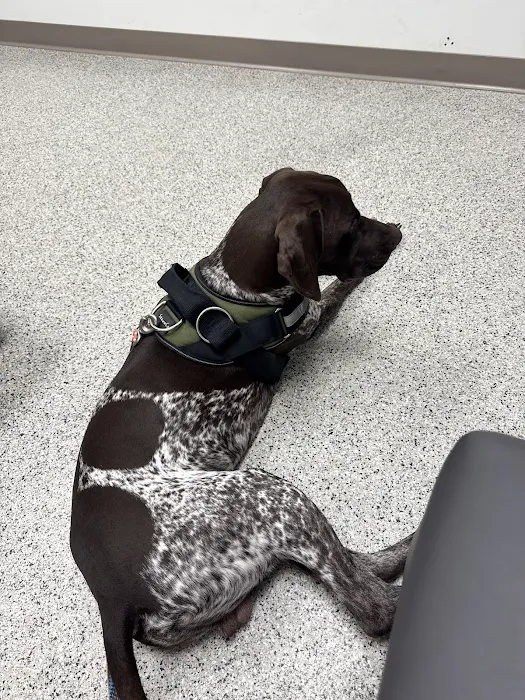 Well Pets Veterinary Clinic Picture 2