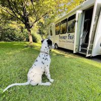 Friendly Faces Mobile Animal Services ico