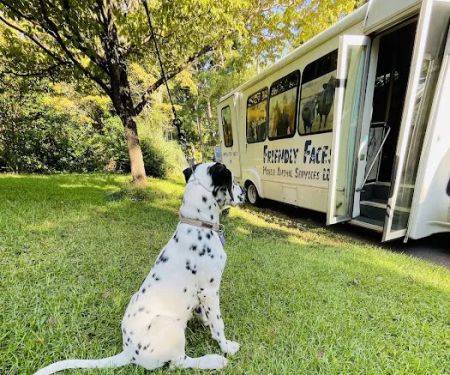Friendly Faces Mobile Animal Services
