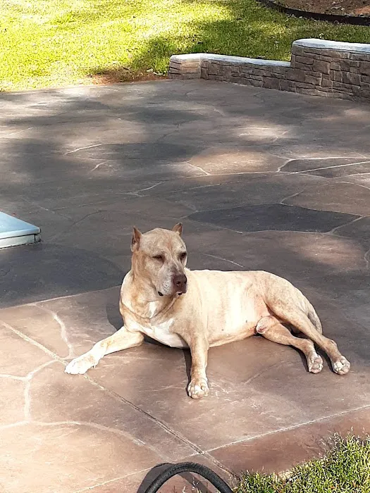 Vetco Total Care Animal Hospital Picture 1