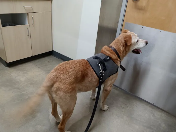 Vetco Total Care Animal Hospital Picture 8