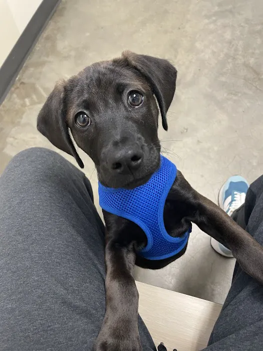 Vetco Total Care Animal Hospital Picture 9