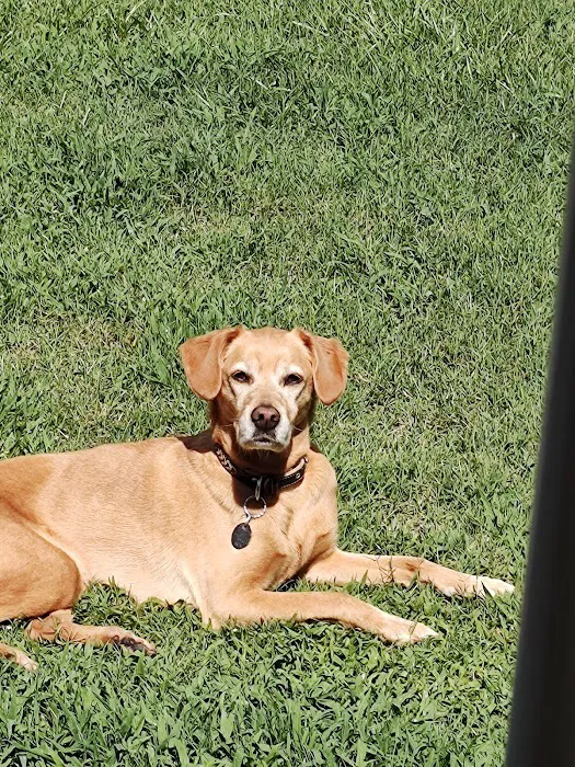 Banfield Pet Hospital Picture 1