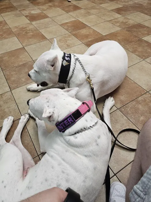 Banfield Pet Hospital Picture 5