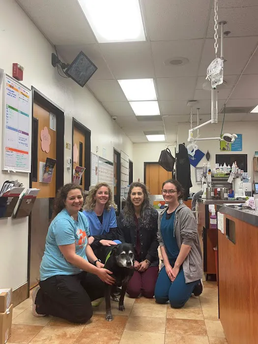 Banfield Pet Hospital Picture 9