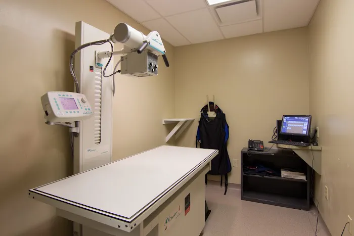 South Carolina Veterinary Specialists & Emergency Care Picture 5